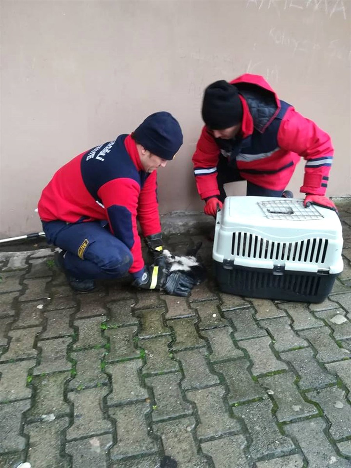 Yağmur Suyu Giderine Sıkışan Kedi Kurtarıldı