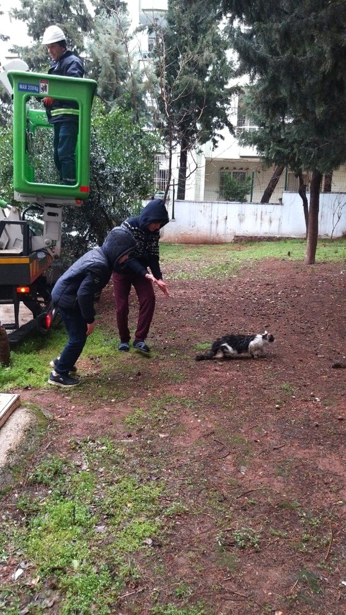 Ağaçta Mahsur Kalan Kedi 2 Gün Sonra Kurtarıldı