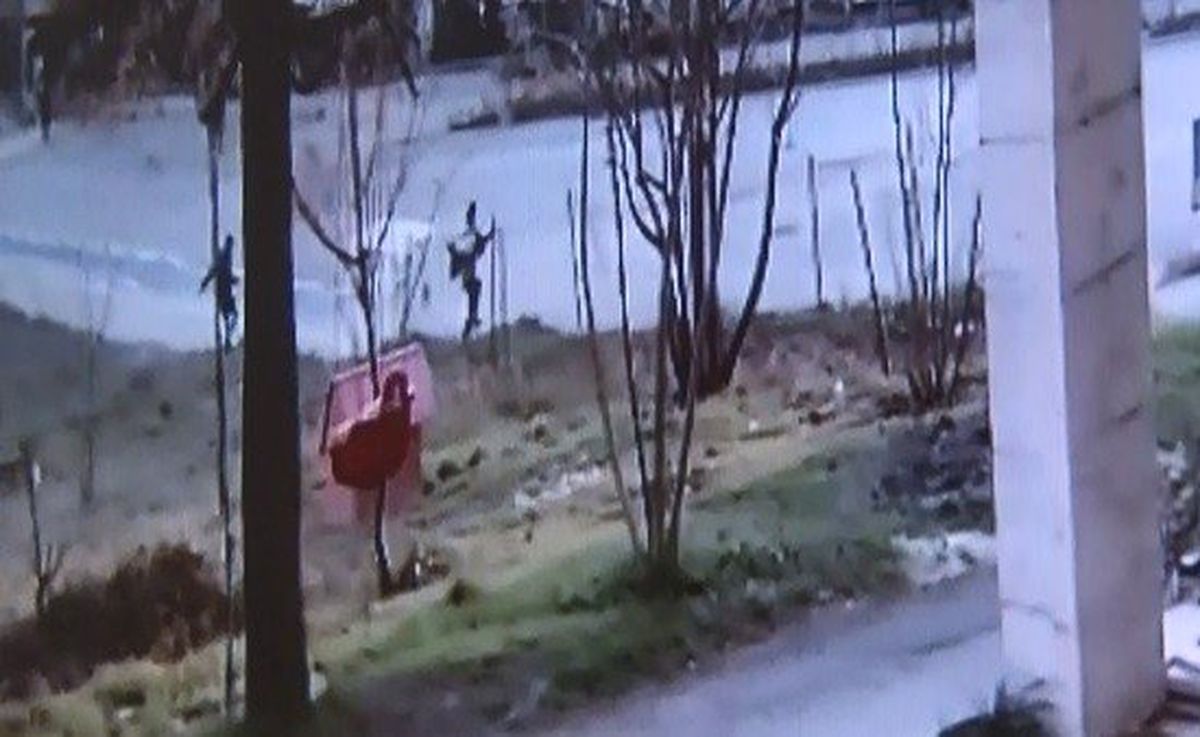 Bursa\'da Köpek Dehşeti Kameraya Böyle Yansıdı...