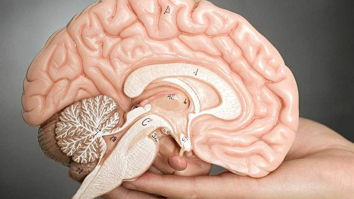 Depresyonun Beynin Daha Hızlı Yaşlanmasına Neden Olduğu Ortaya Çıktı
