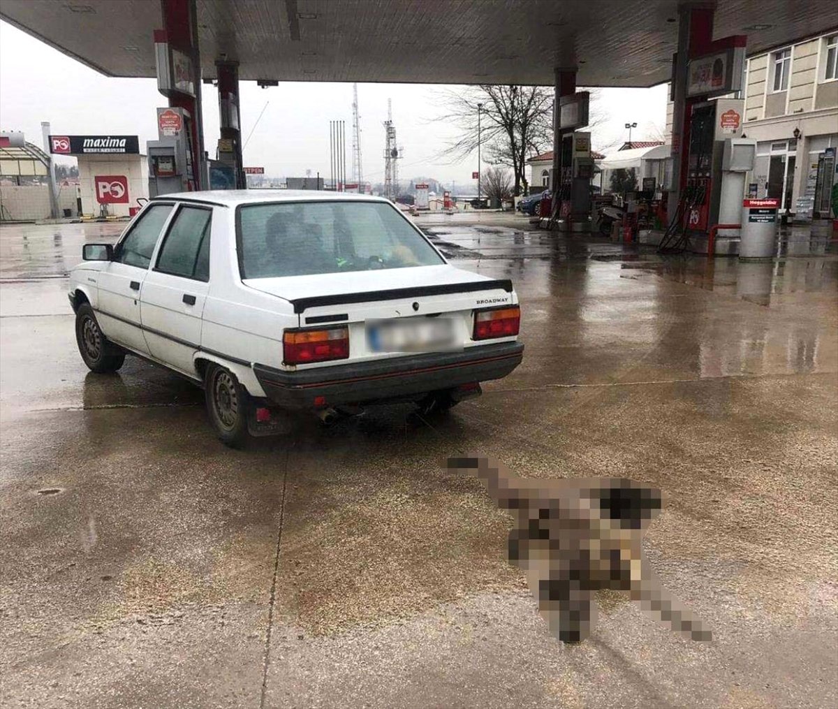Köpeği Sürükleyen Zanlı Serbest Bırakıldı
