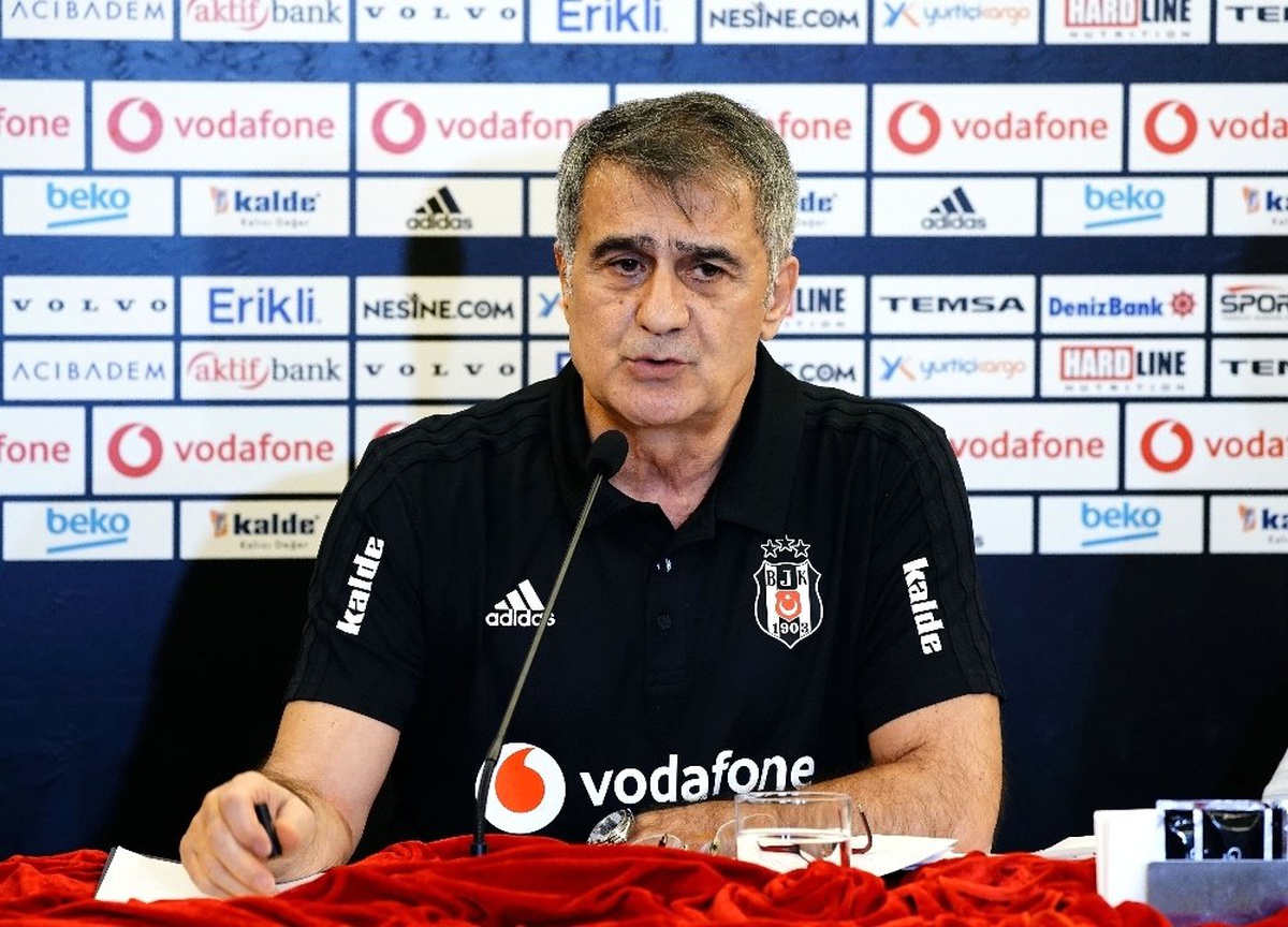 Şenol Güneş\'ten Milli Takım Açıklaması