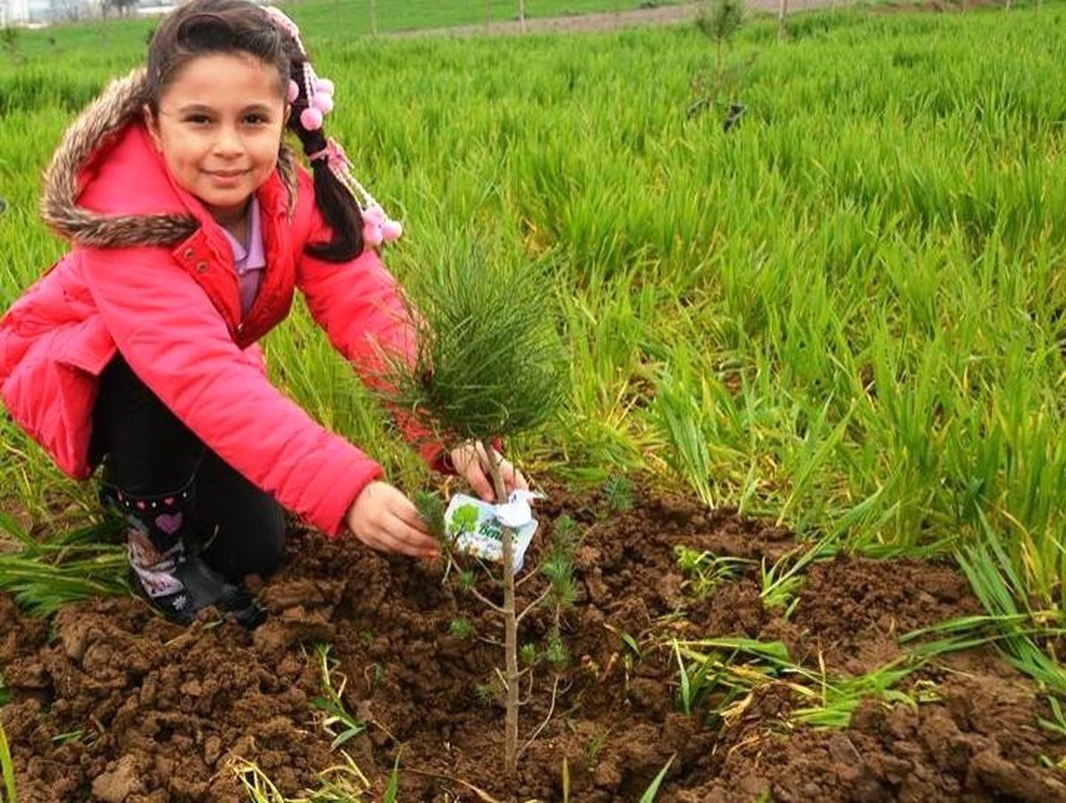 Tekirdağ\'da Ücretsiz Fidan Dağıtılacak