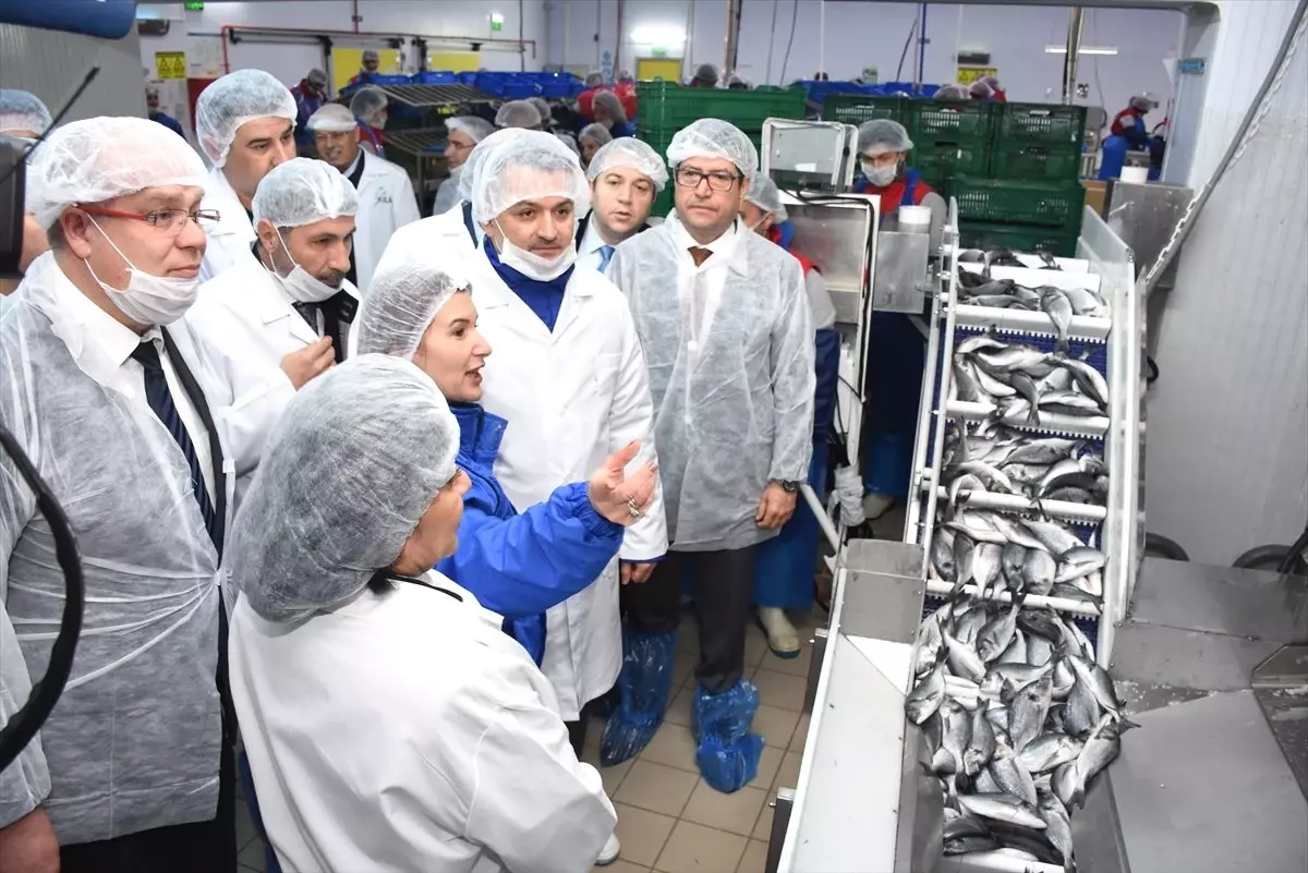 Türkiye\'nin 2023 Balık İhracatı Hedefi 2 Milyar Dolar