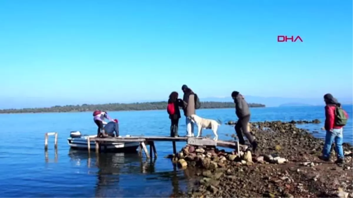 Balıkesir Ayvalık\'ın Nergis Dolu Çiçek Adası