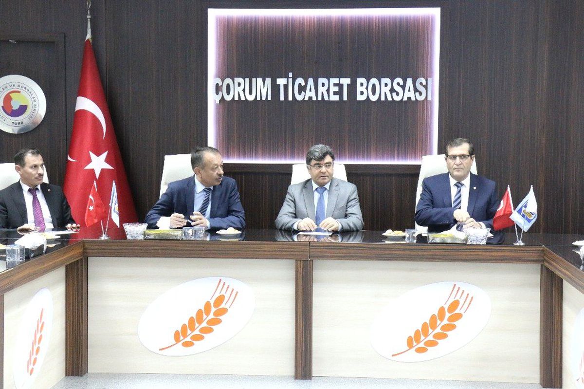 Çorum\'da Süne ile Etkin Mücadele Edilecek