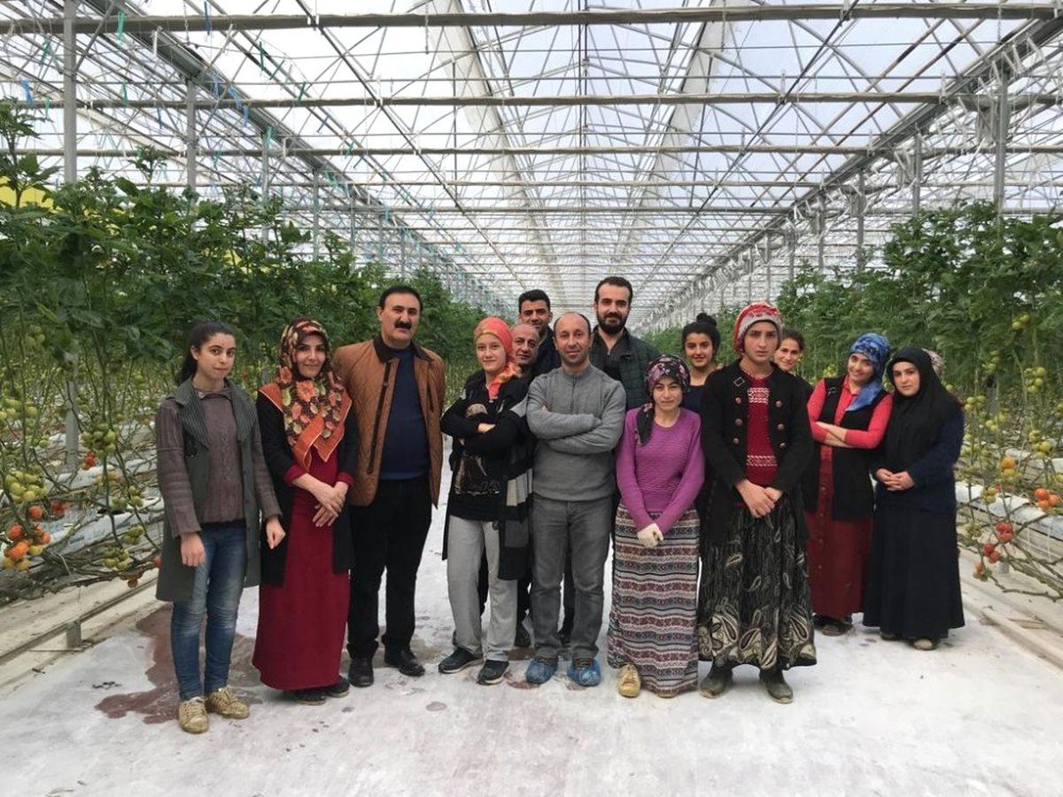 Vantb Başkanı Nayif Süer, Eksi 40 Derecede Üretilen Domates Serasını Ziyaret Etti