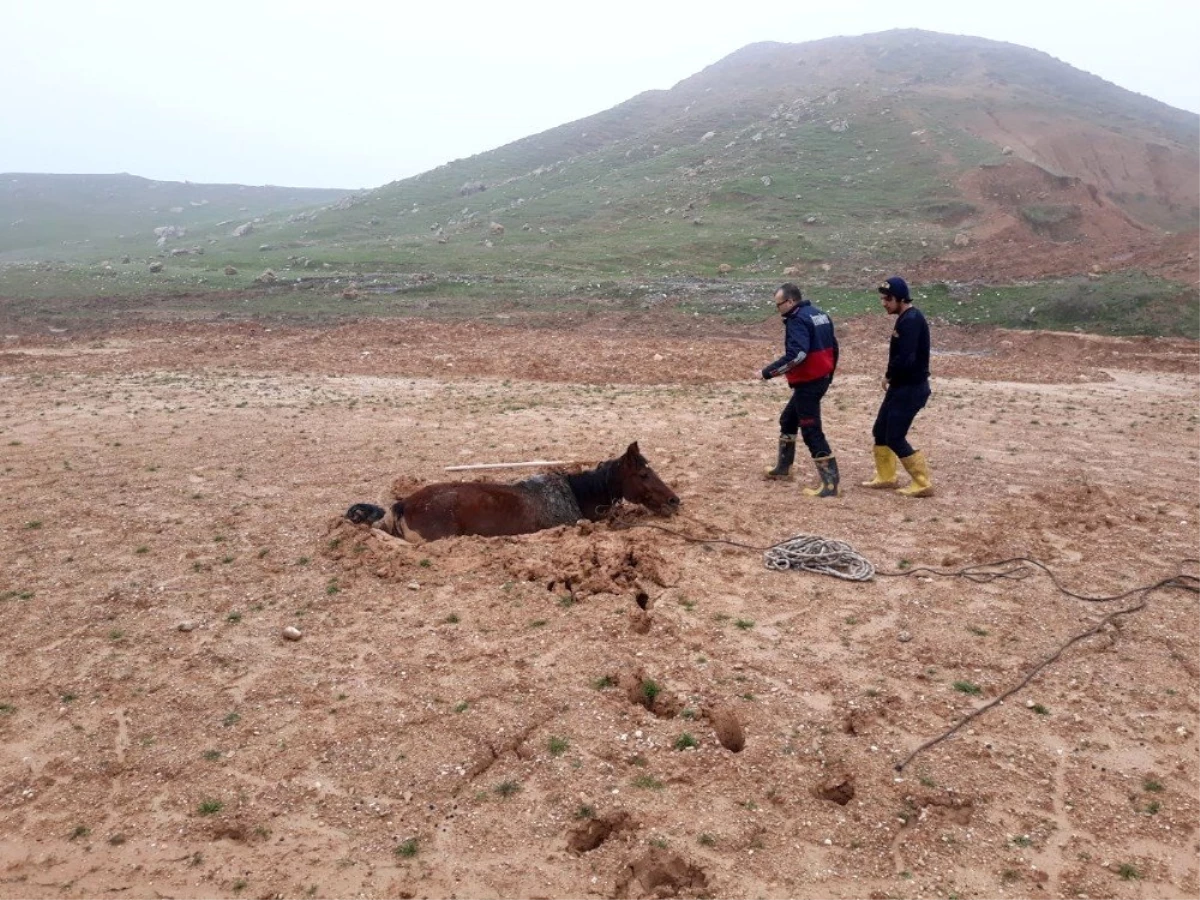 Bataklığa Saplanan Atı İtfaiye Kurtardı