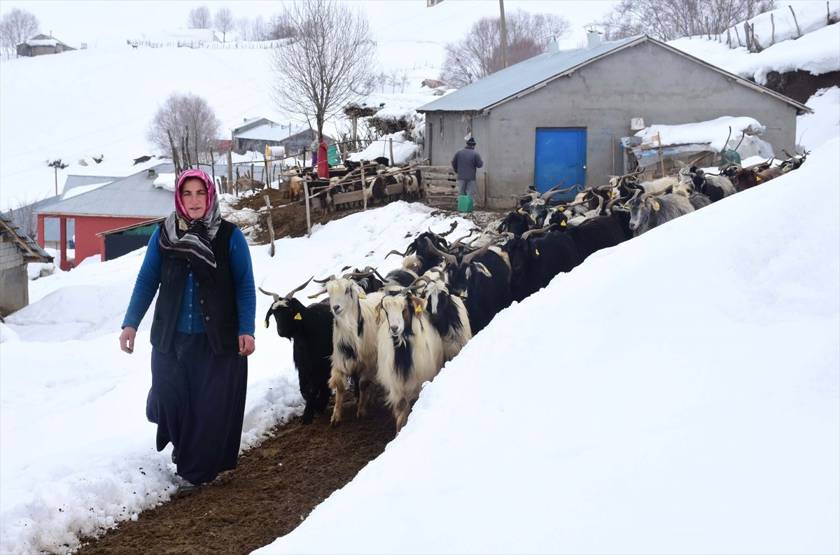 Kırsaldaki Kadınlar "Hayatın Yükünü" Omuzluyor