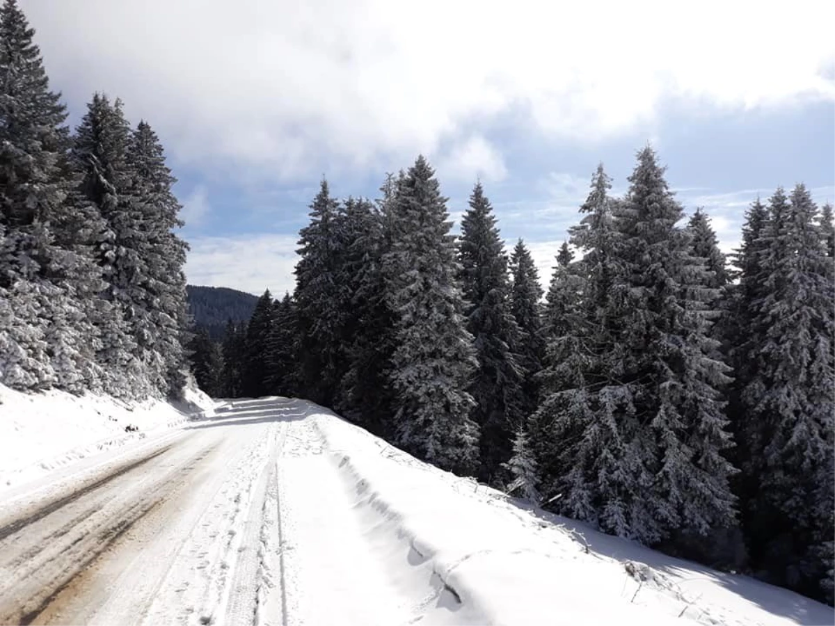 Giresun\'un Yaylaları 4 Mevsim Yöre İnsanını Kendisine Çekiyor