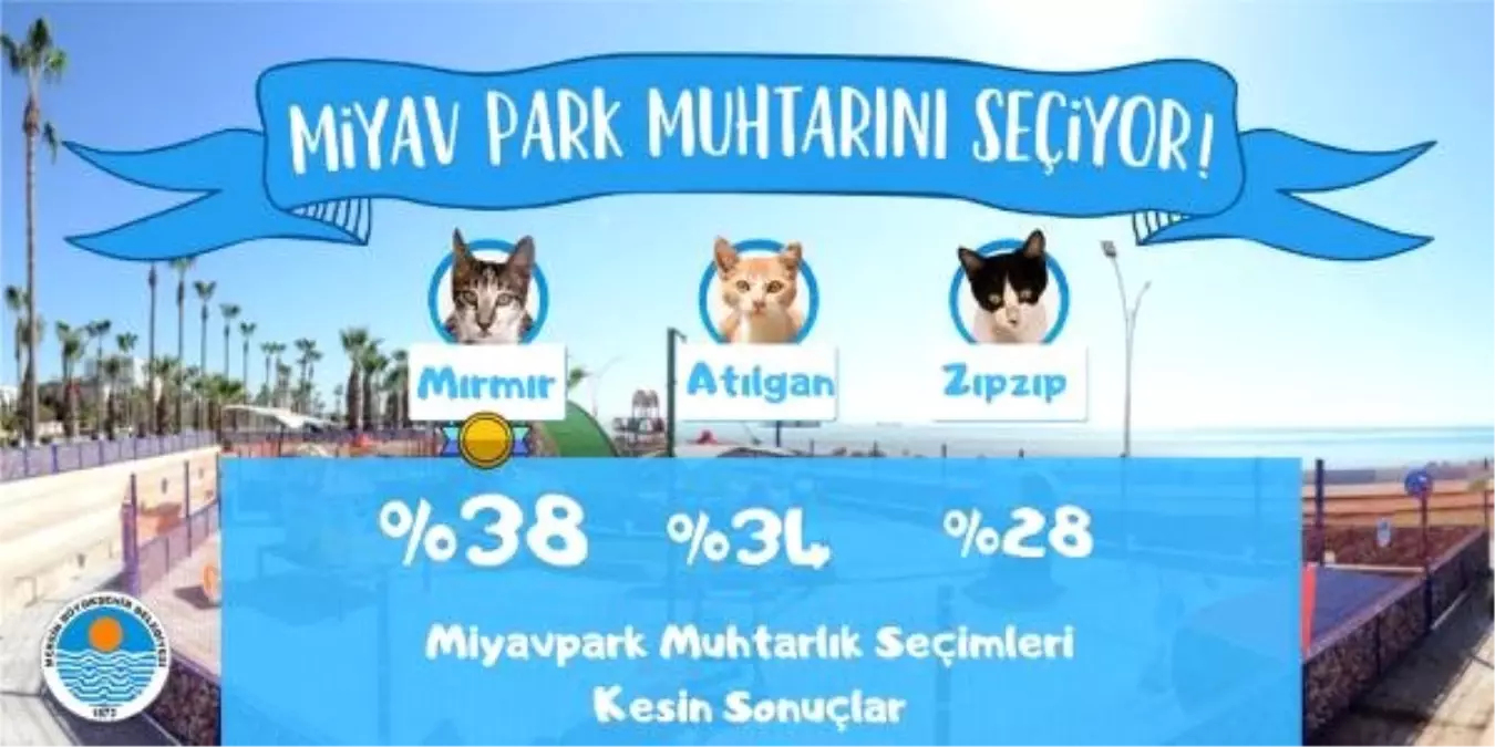 Miyav Park\'ın Muhtarı \'Mırmır\' Oldu