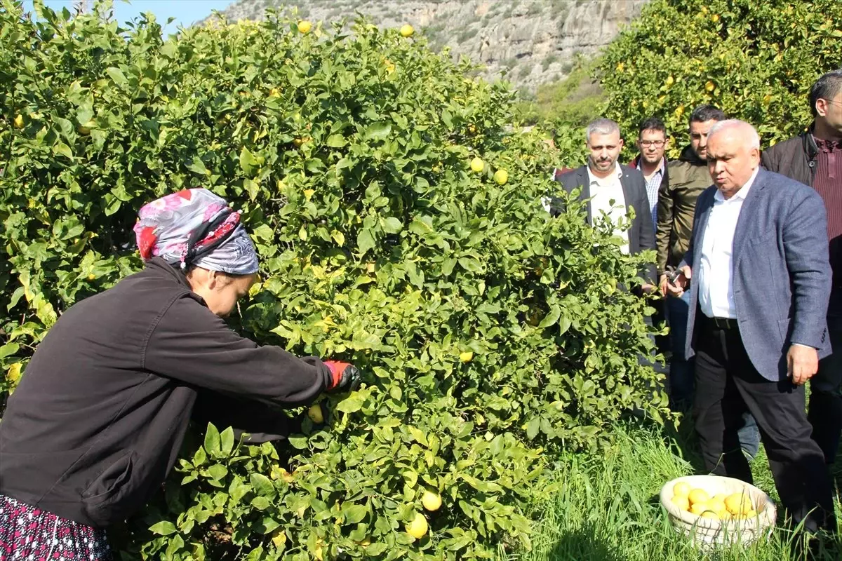 Yerel Seçimlere Doğru