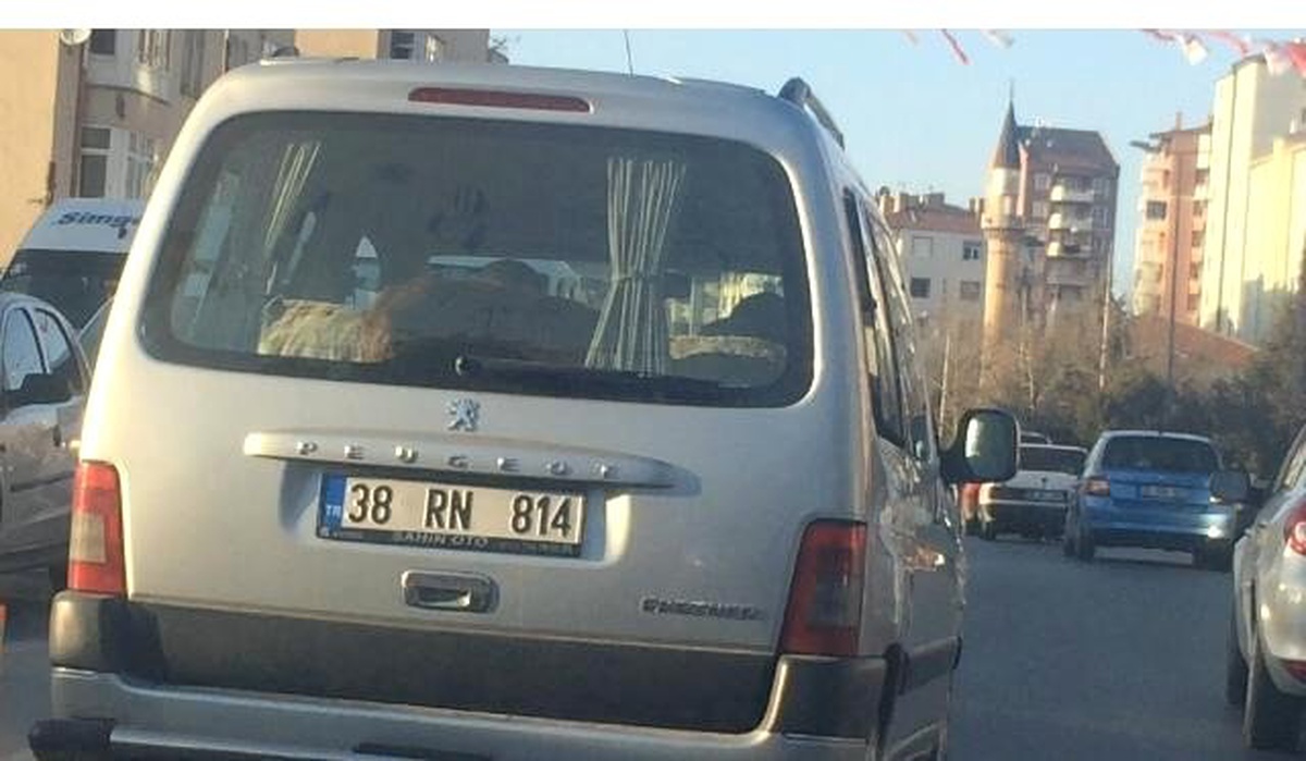 Dana Aracın Bagajında Yolculuk Etti