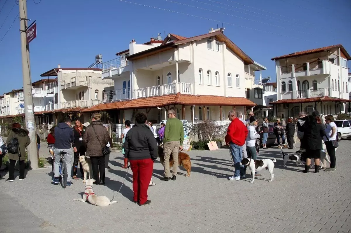 Fethiye\'de Sokak Hayvanlarının Zehirlenerek Öldürülmesi Protesto Edildi