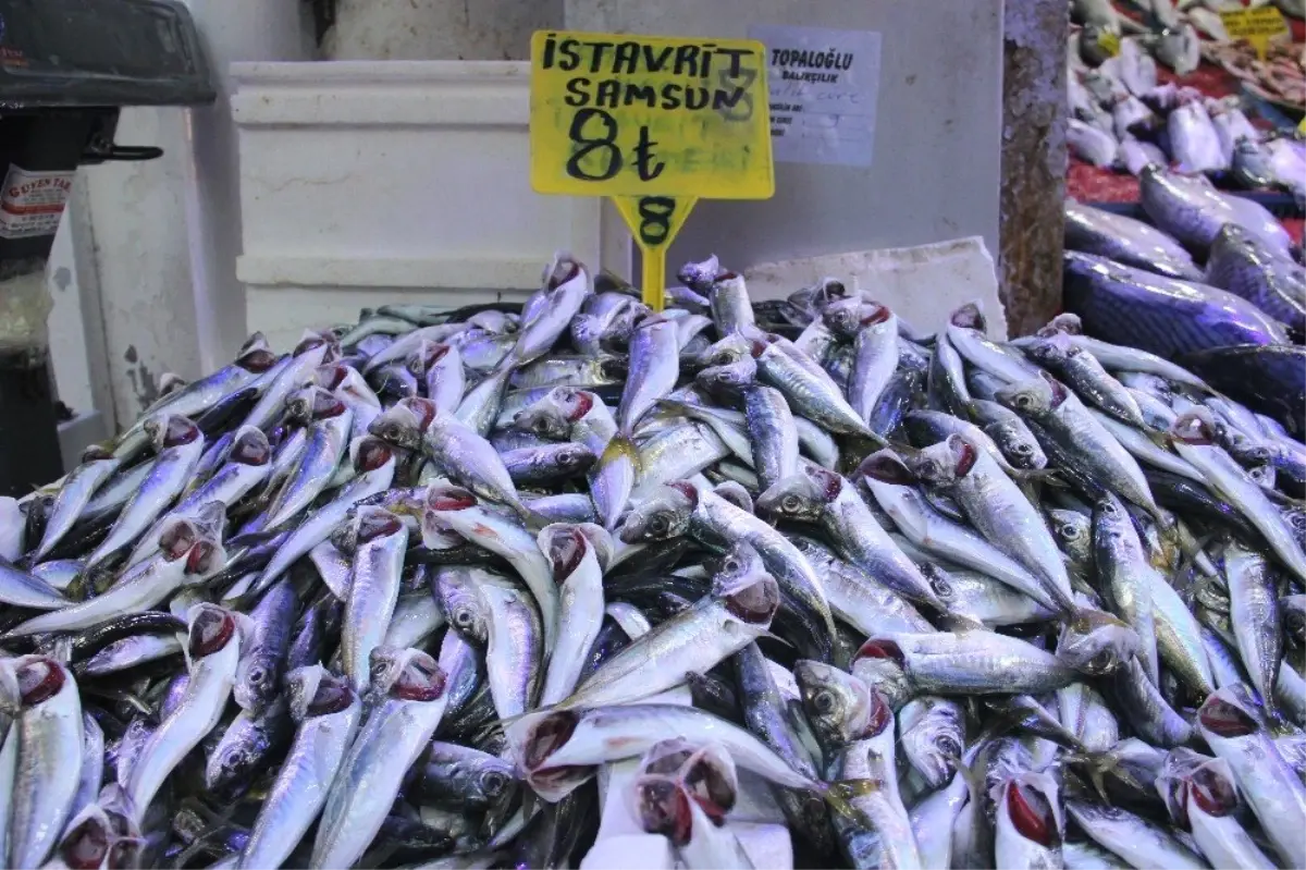 Hamsi Gürcistan\'a Kaçtı, Tezgahları İstavrit Doldurdu