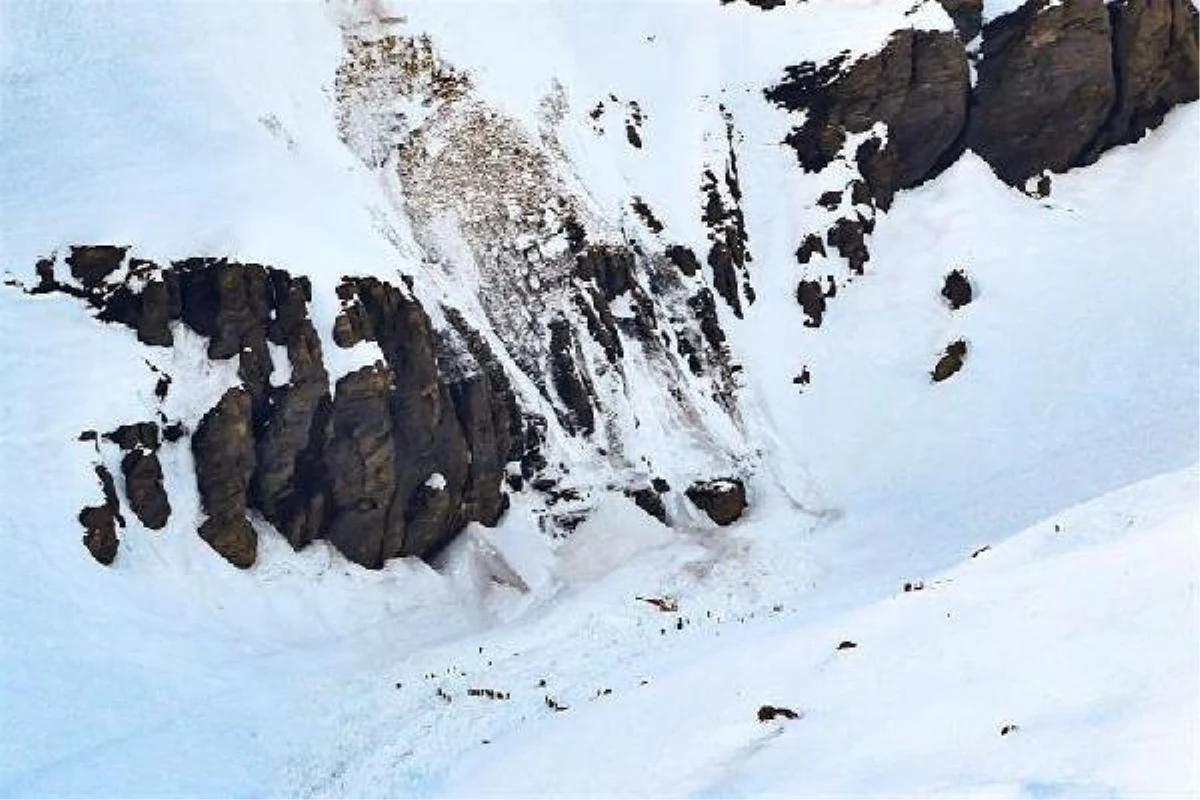 İsviçre\'de Kayak Merkezine Çığ Düştü