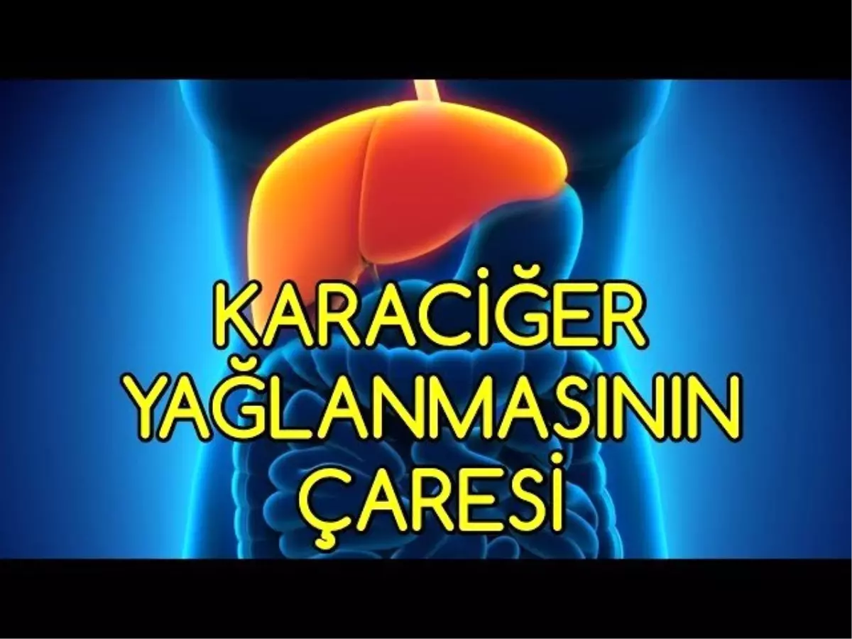 Karaciğer Yağlanmasının Çaresi Burada