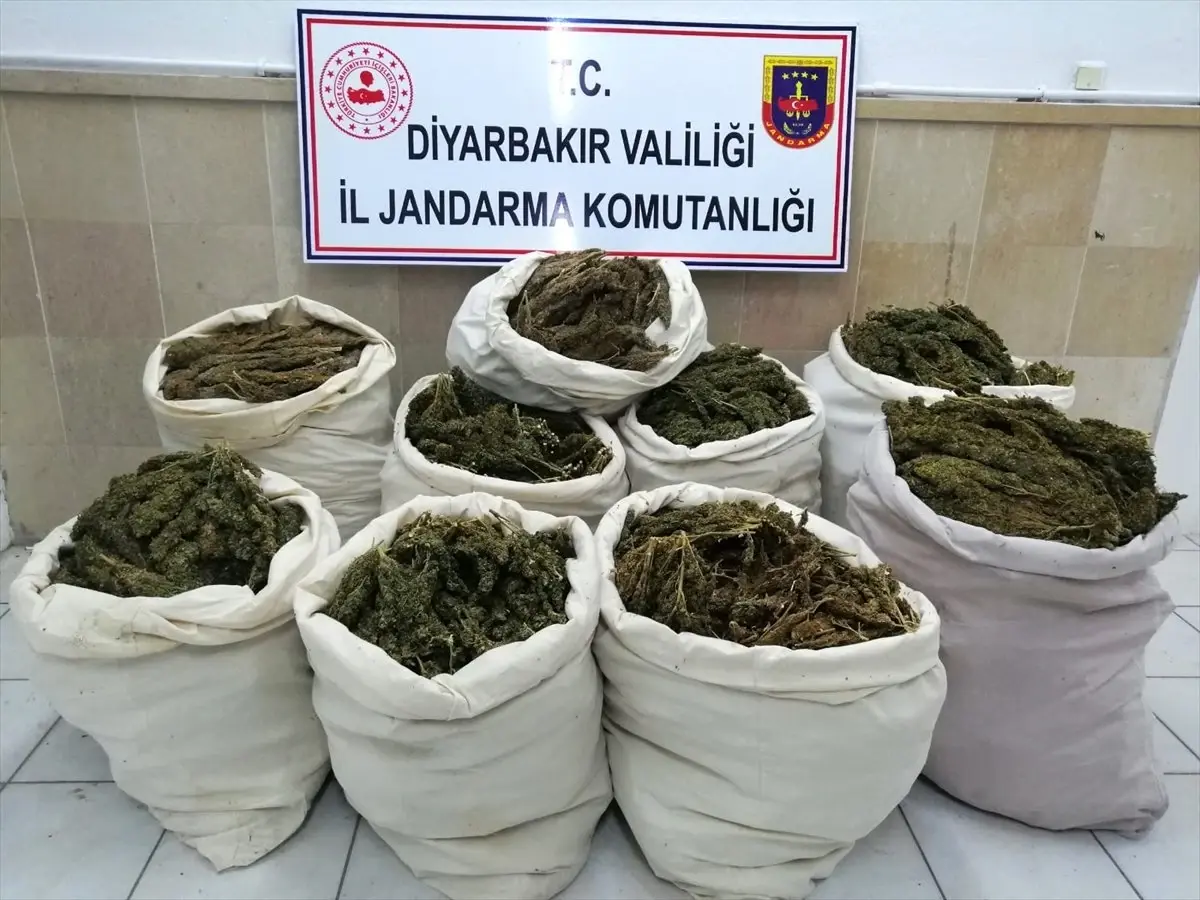 Saman Balyaları Arasında 176 Kilogram Esrar Ele Geçirildi