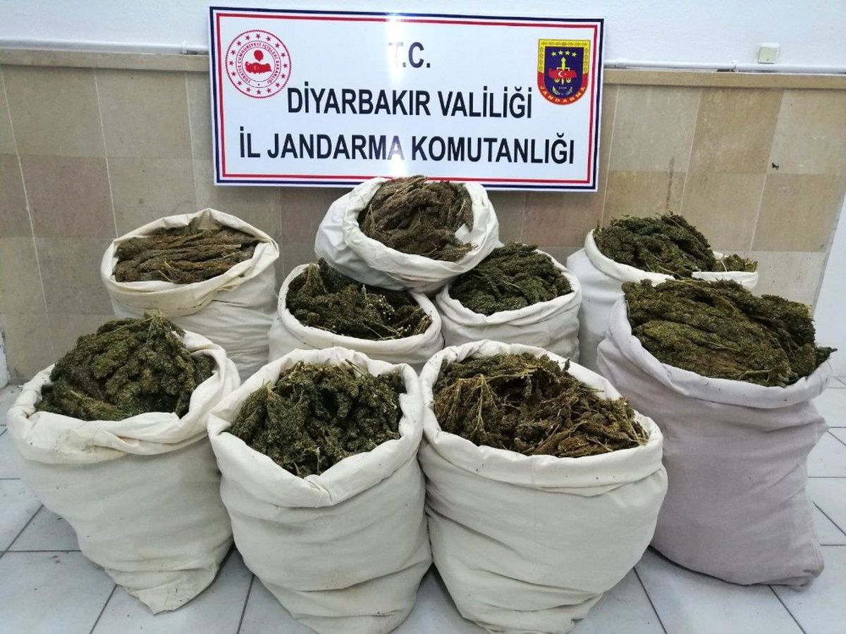 Saman Yüklü Kamyonda 176 Kilo Esrar Ele Geçirildi