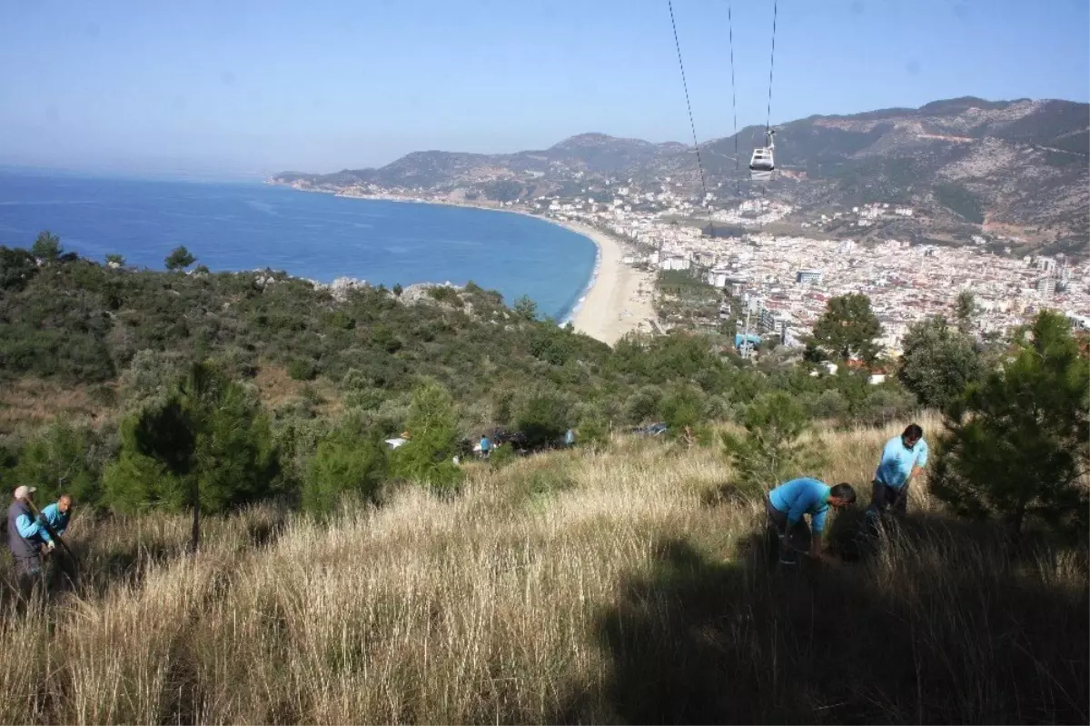 Alanya Kalesi\'nde Badem Fidanı Dikimine Başladı