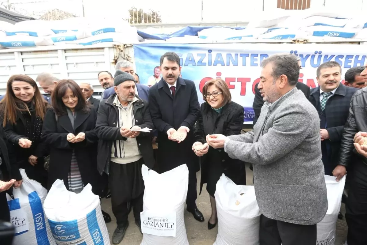 Büyükşehir, 350 Çiftçiye 70 Ton Nohut Tohumu Dağıttı