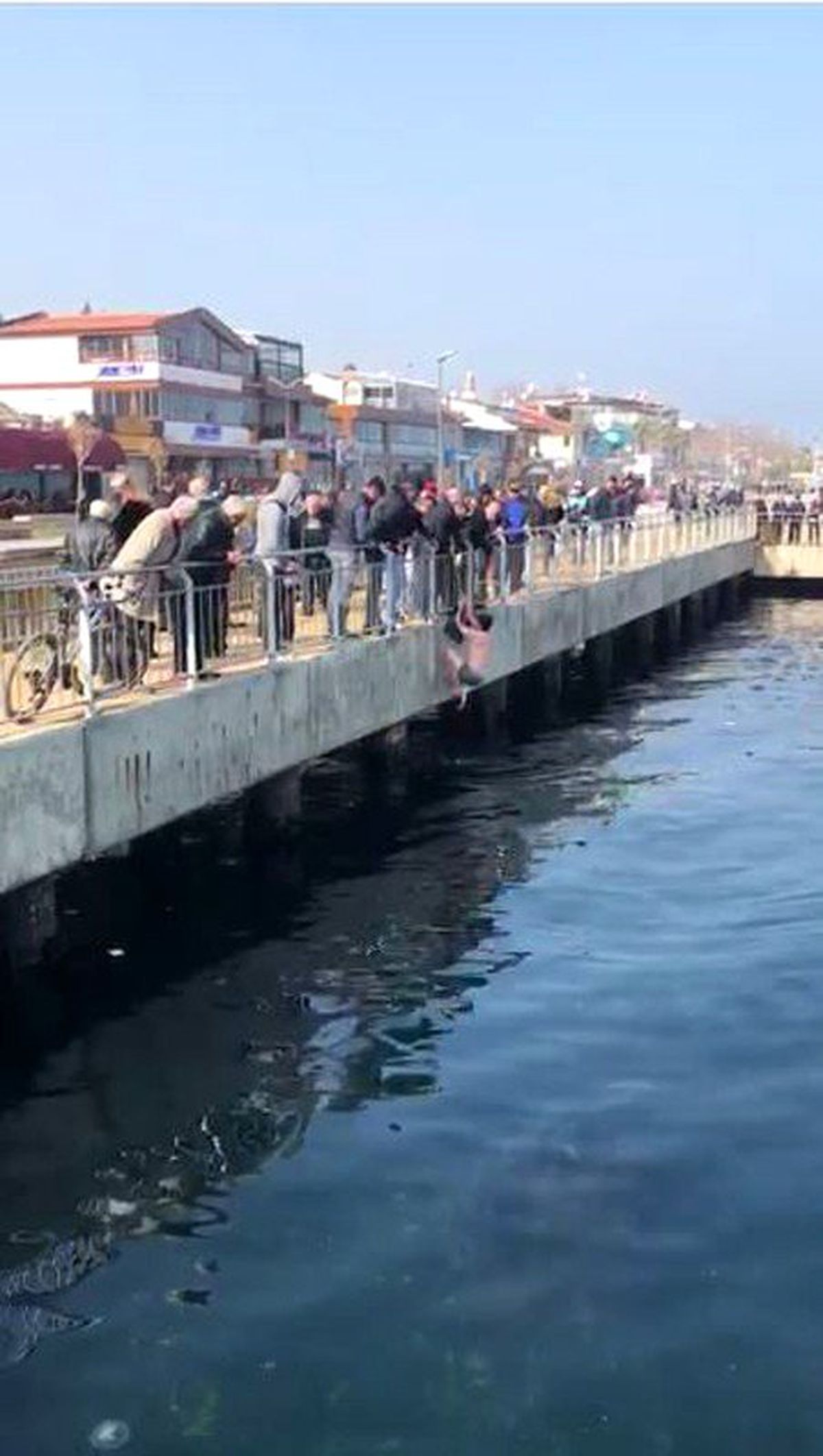 Denize Düşen Kediyi Buz Gibi Suya Girerek Kurtardı