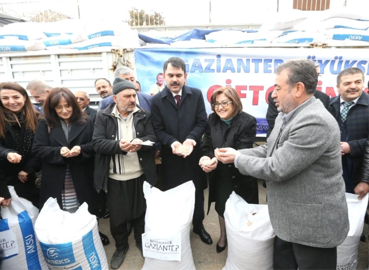 Gaziantep\'te 350 Çiftçiye 70 Ton Nohut Tohumu Dağıtıldı