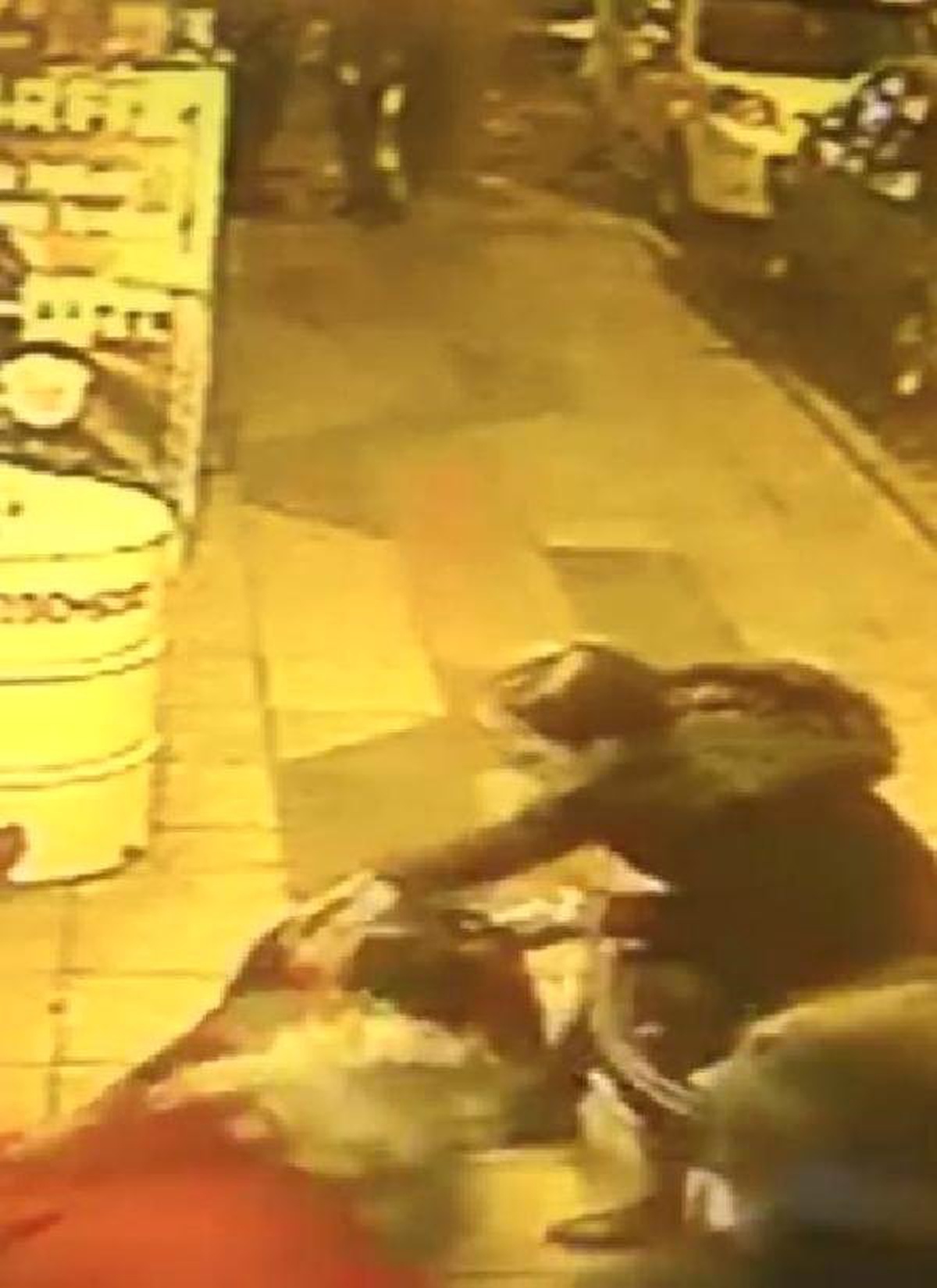 Rottweiler\'ın Süs Köpeği \'Şila\'ya Saldırısı Kamerada