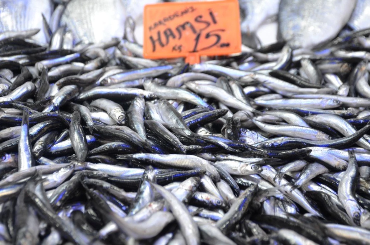 Balık Fiyatlarında Düşüş Yaşanmıyor