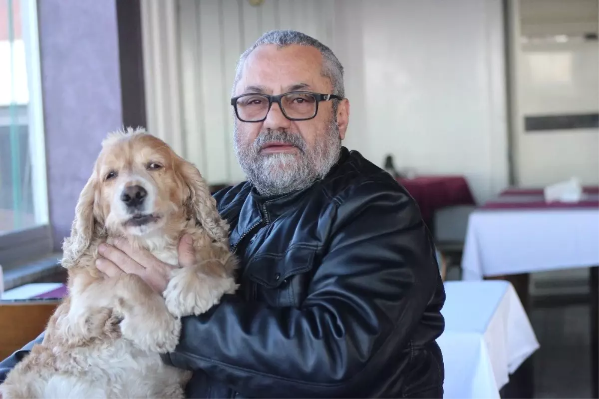 Okuduğu Yazıdan Etkilenen Restoran İşletmecisi, Bir Haftalık Gelirini Felçli Hayvanlara Bağışladı