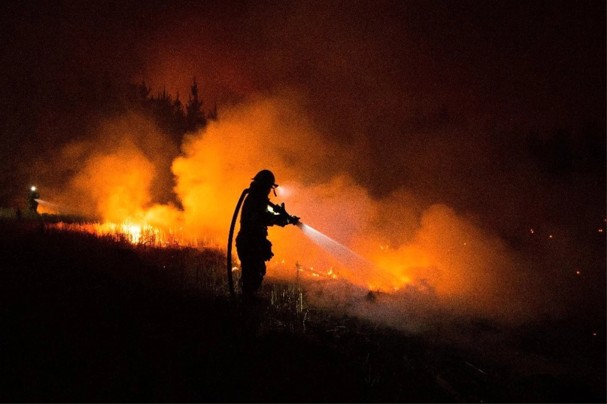 Şili Orman Yangınlarıyla Savaşıyor