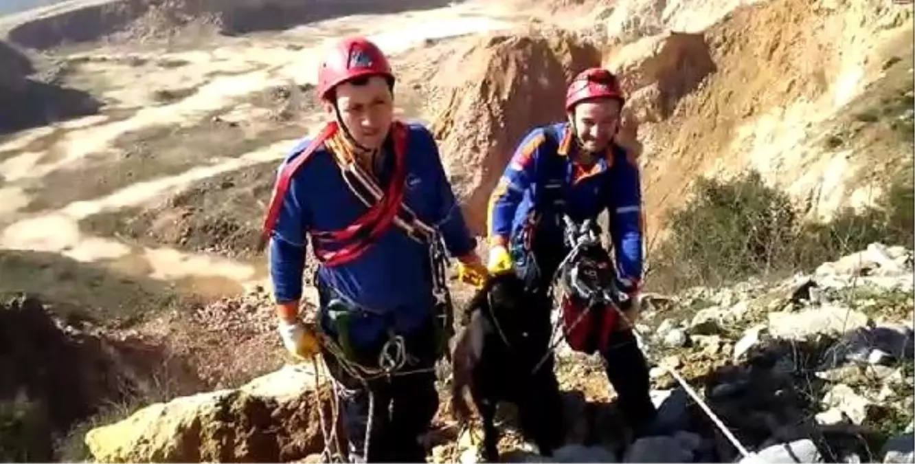 Yamaçtan Yuvarlanan Keçi, Boynuzuna Bağlanan İple Kurtarıldı