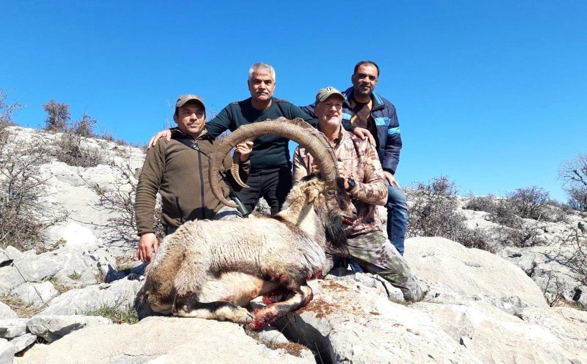Boynuz Uzunluğu 127 Santim Olan Yaban Keçisi Avlandı