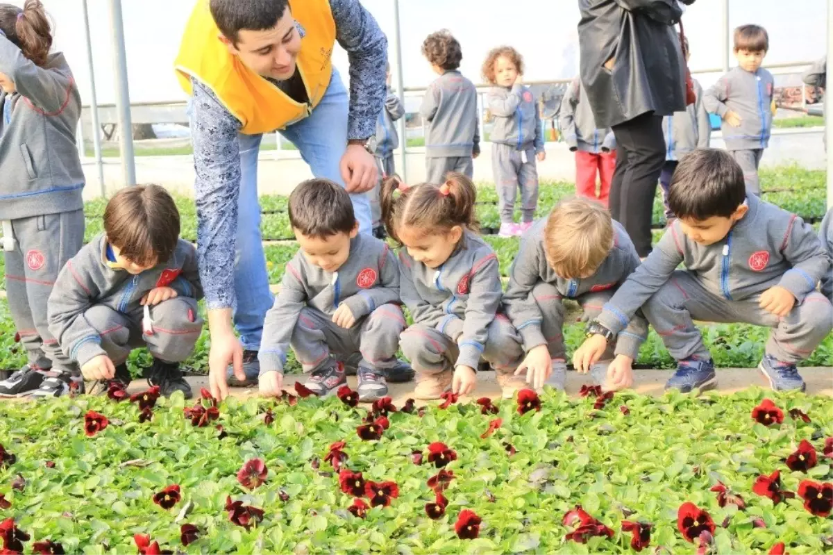 Çocuklar Çiçek Üretim Serasını Ziyaret Etti