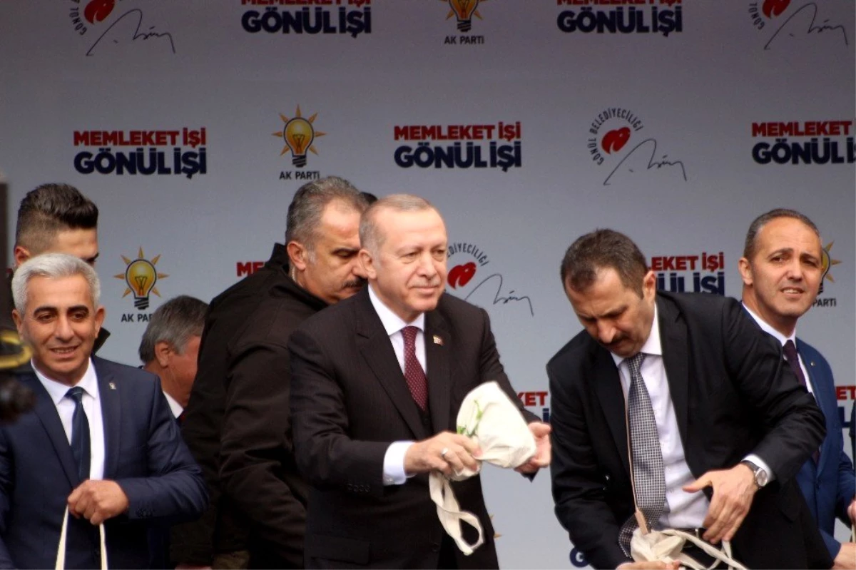 Cumhurbaşkanı Erdoğan: "Cumhur İttifakı Pazara Kadar Değil, Mezara Kadar"