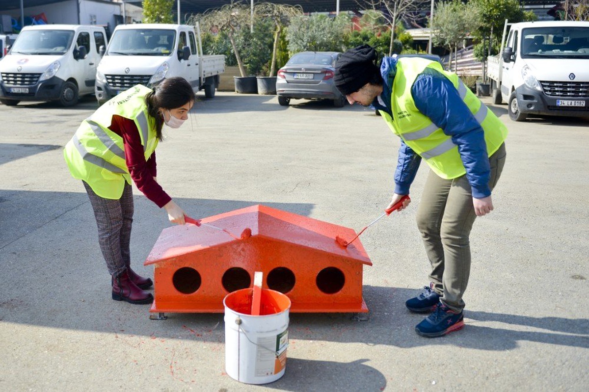 Maltepeli Gençler Sokaktaki Dostları İçin Boyadılar