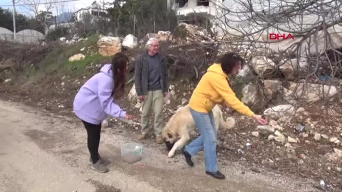 Antalya Ormanlık Alanlara Terk Edilen Köpeklerin Gönül Dostu Oldular