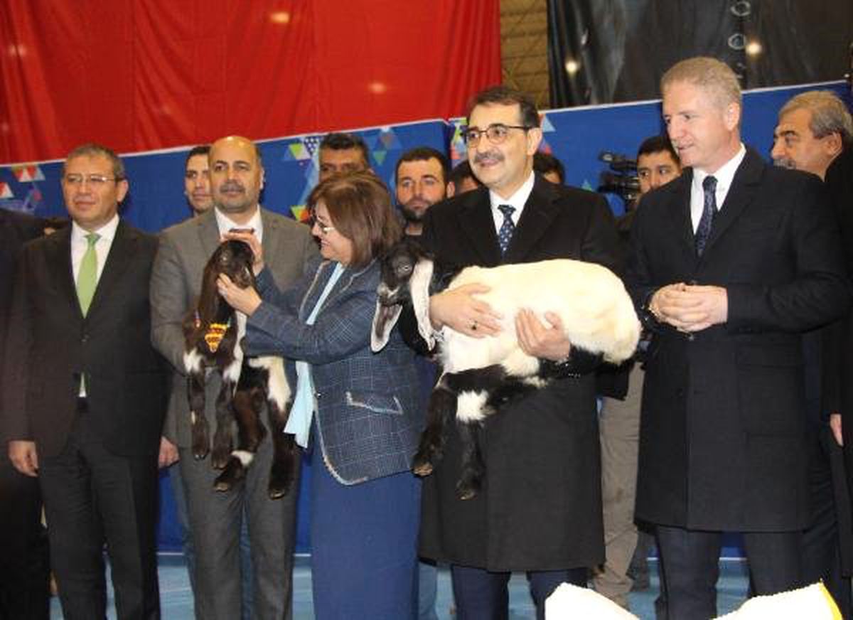 Bakan Dönmez: 81 ile Doğal Gaz Götürdük (2)