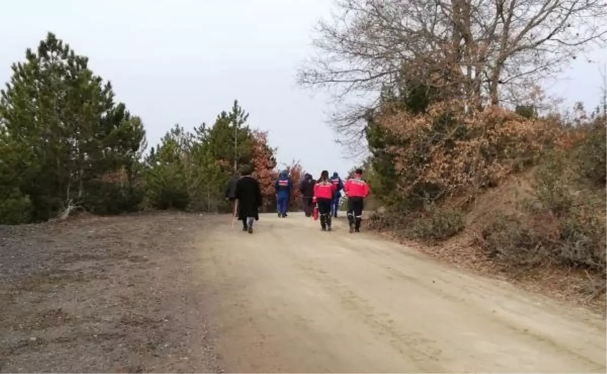 Kayıp Olarak Aranırken, Ormanda Cesedi Bulundu