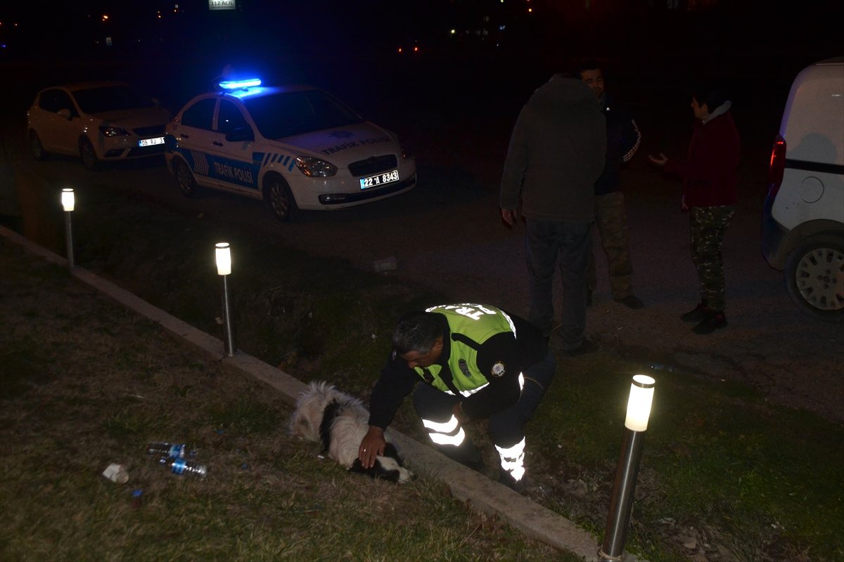 Keşan İlçesinde Otomobilin Çarptığı Köpek Yaralandı