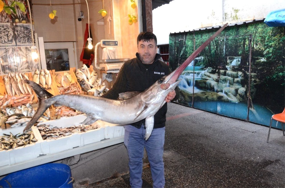 Marmara\'da Yakalanan 80 Kiloluk Kılıç Balığı, 2 Bin 800 Liraya Satıldı