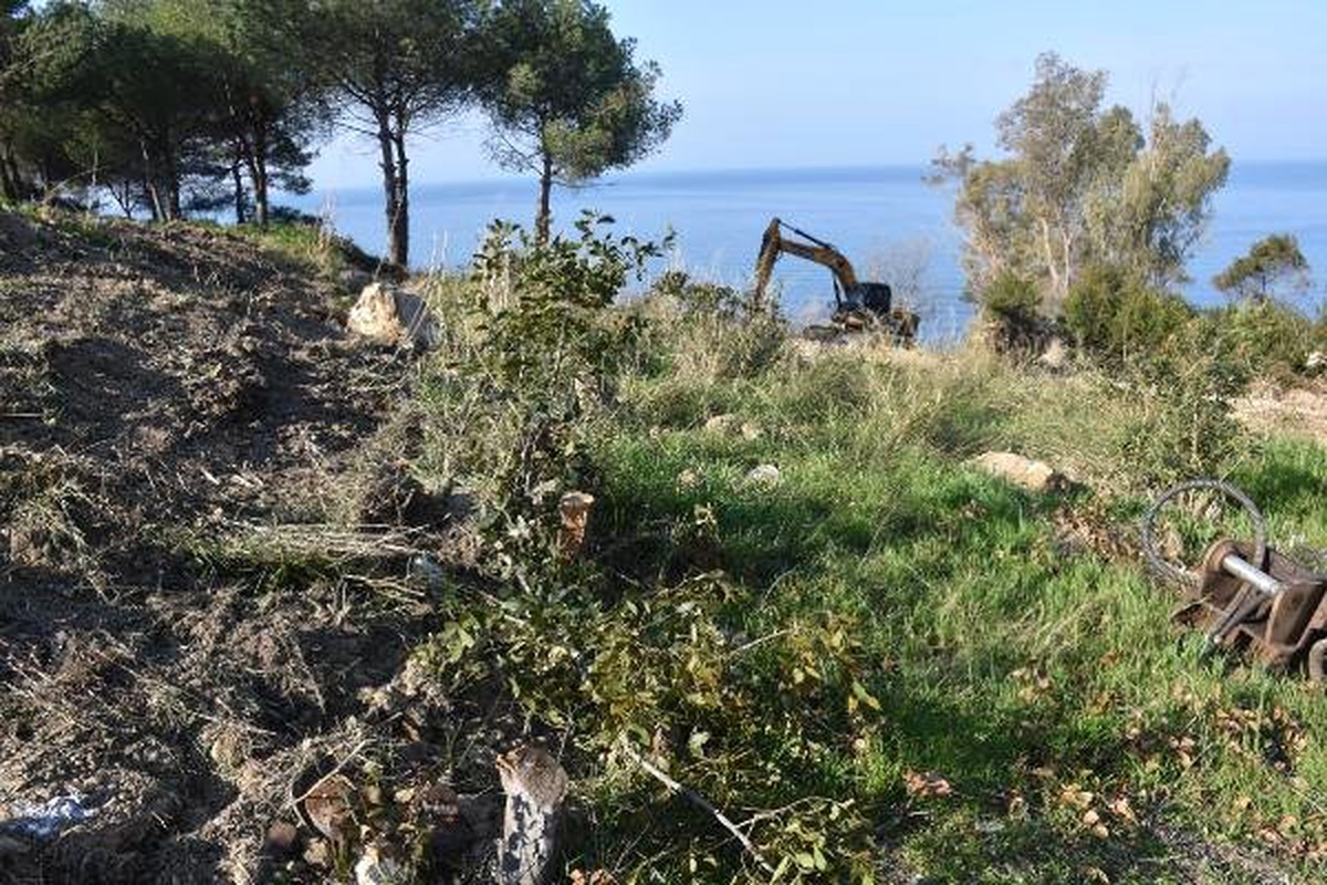Kuşadası\'ndaki Alan İçin \'Kafeterya Olmasın Botanik Park\'a Dahil Edilsin\' Talebi