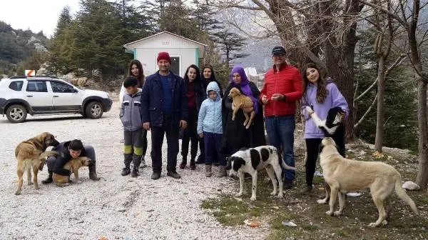 Ormanlık Alanlara Terk Edilen Köpeklerin Gönül Dostu Oldular, System.String[]