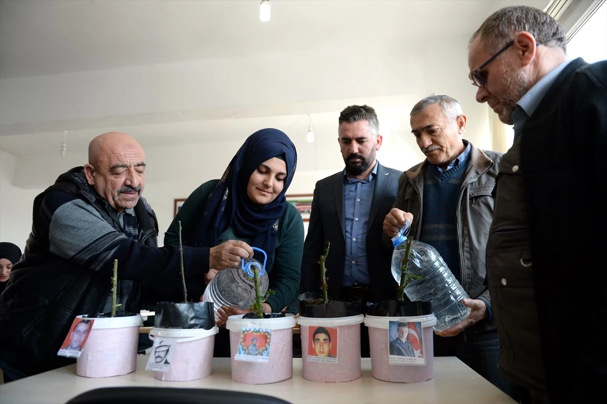 Şehitler Anısına Yetiştirilen Güller Mezarlarına Dikilecek