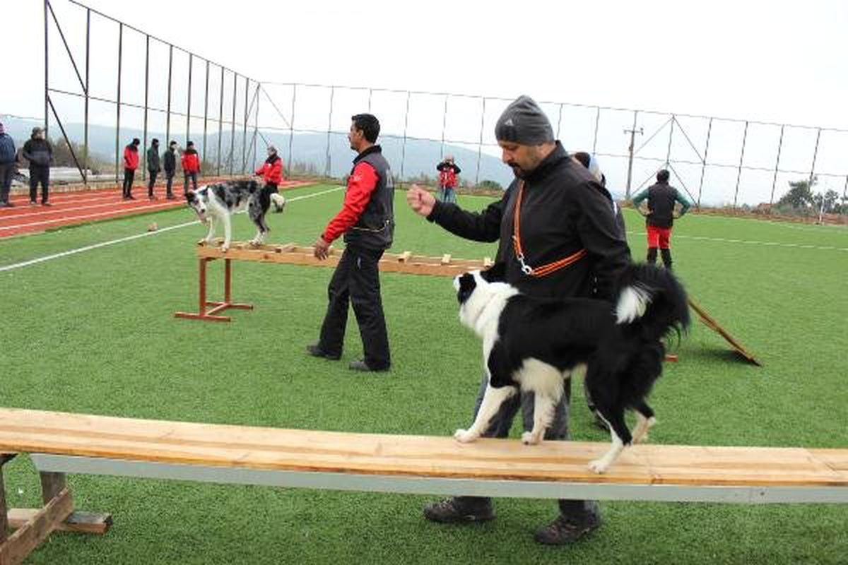 İzmir\'de Arama Kurtarma Köpeklerine Antrenman