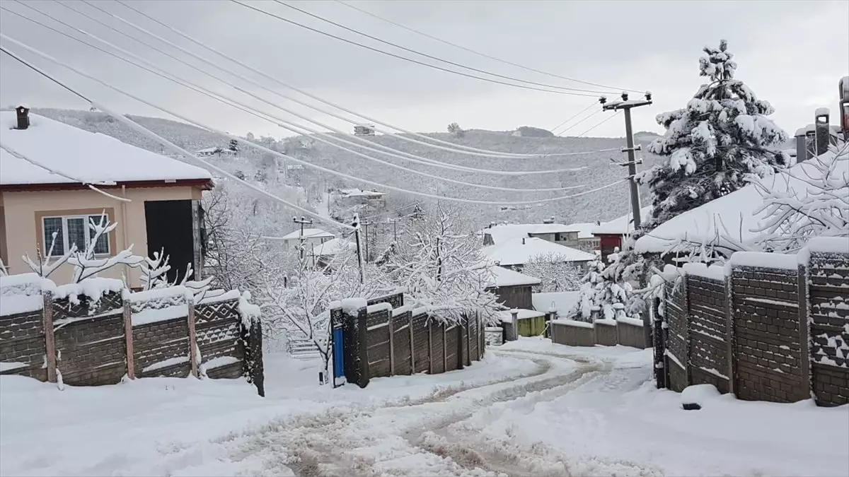 Sakarya\'da Kar Yağışı