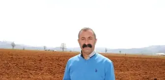 Tunceli'de Yapılan Ankette HDP Adayları, Komünist Başkan Fatih Mehmet Maçoğlu'na Fark Attı