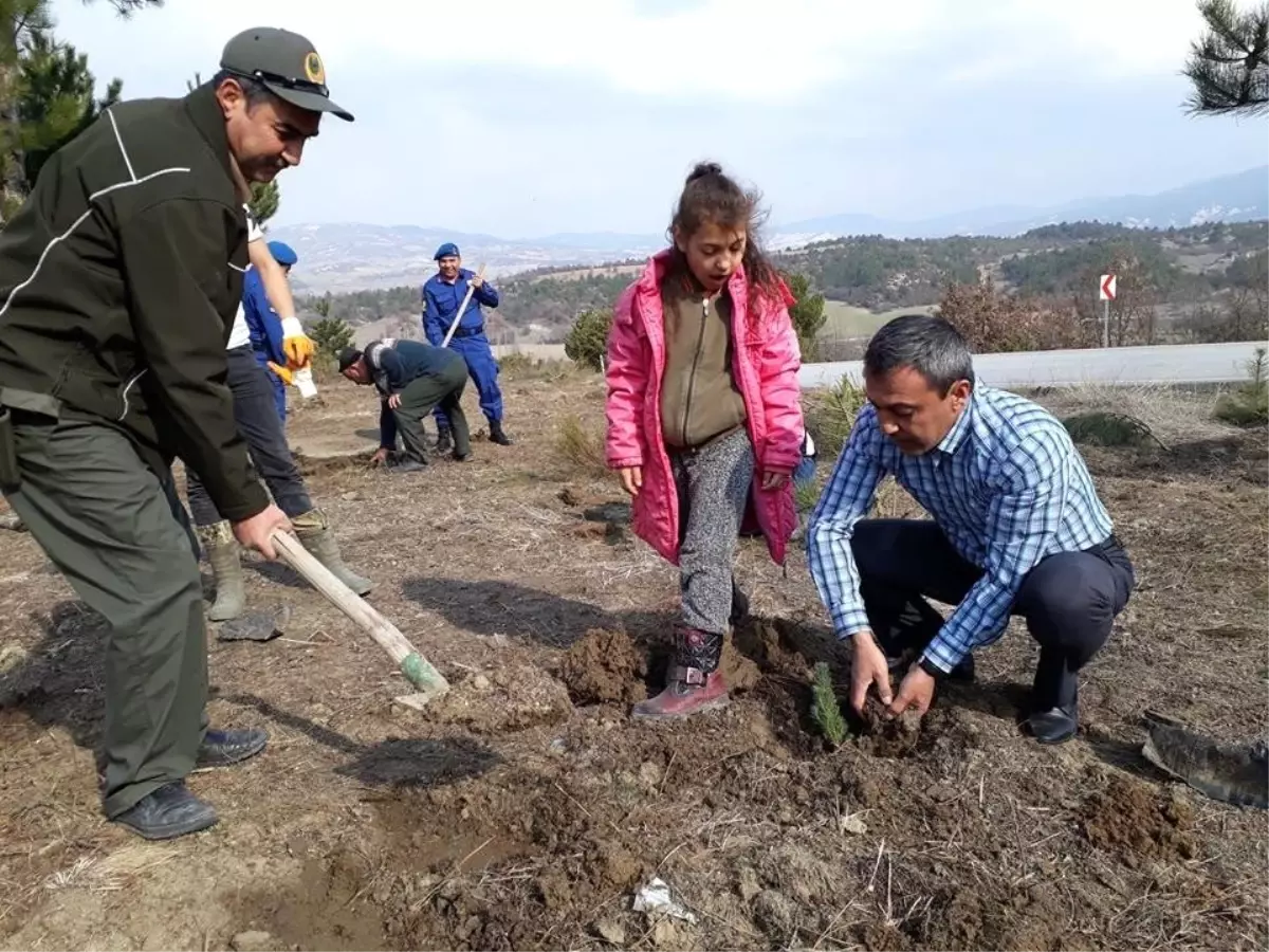 Yenipazar\'da "Fidanlar, Fidanlarla Büyüyor" Etkinliği