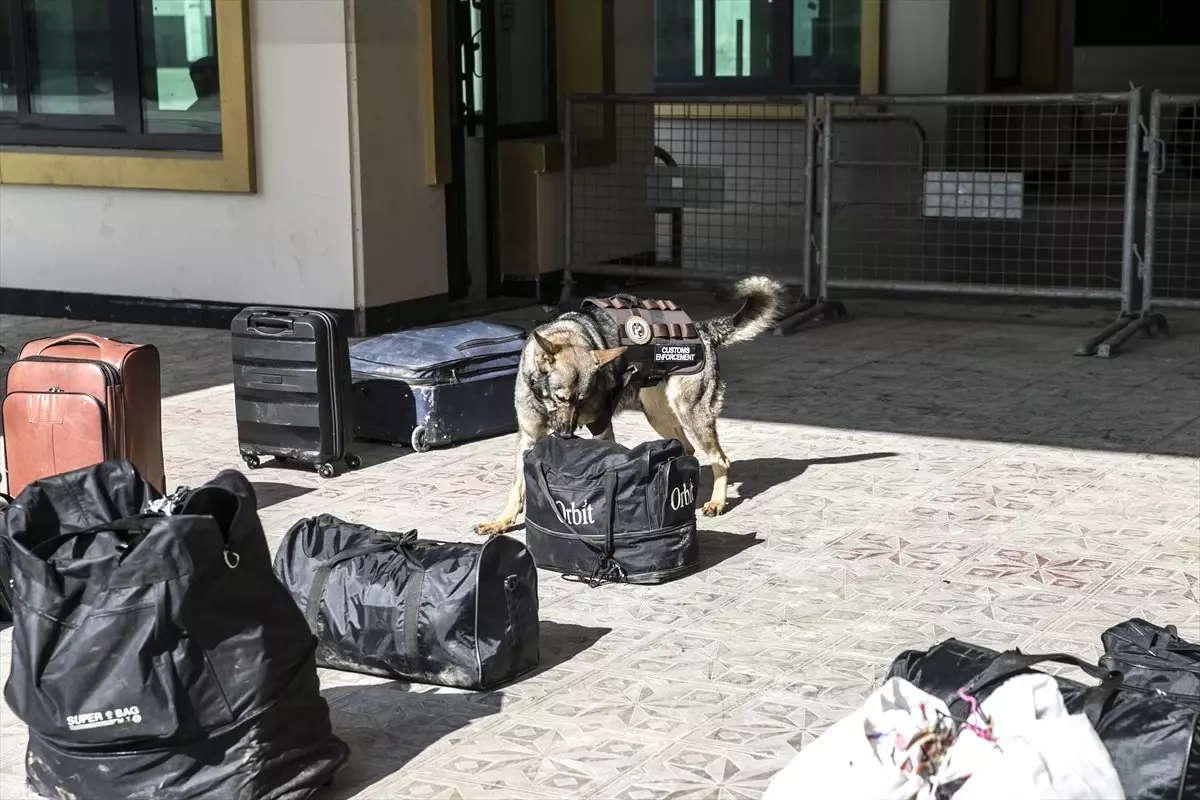 Cilvegözü\'nün "Dedektör Köpekleri" Kuş Uçurtmuyor