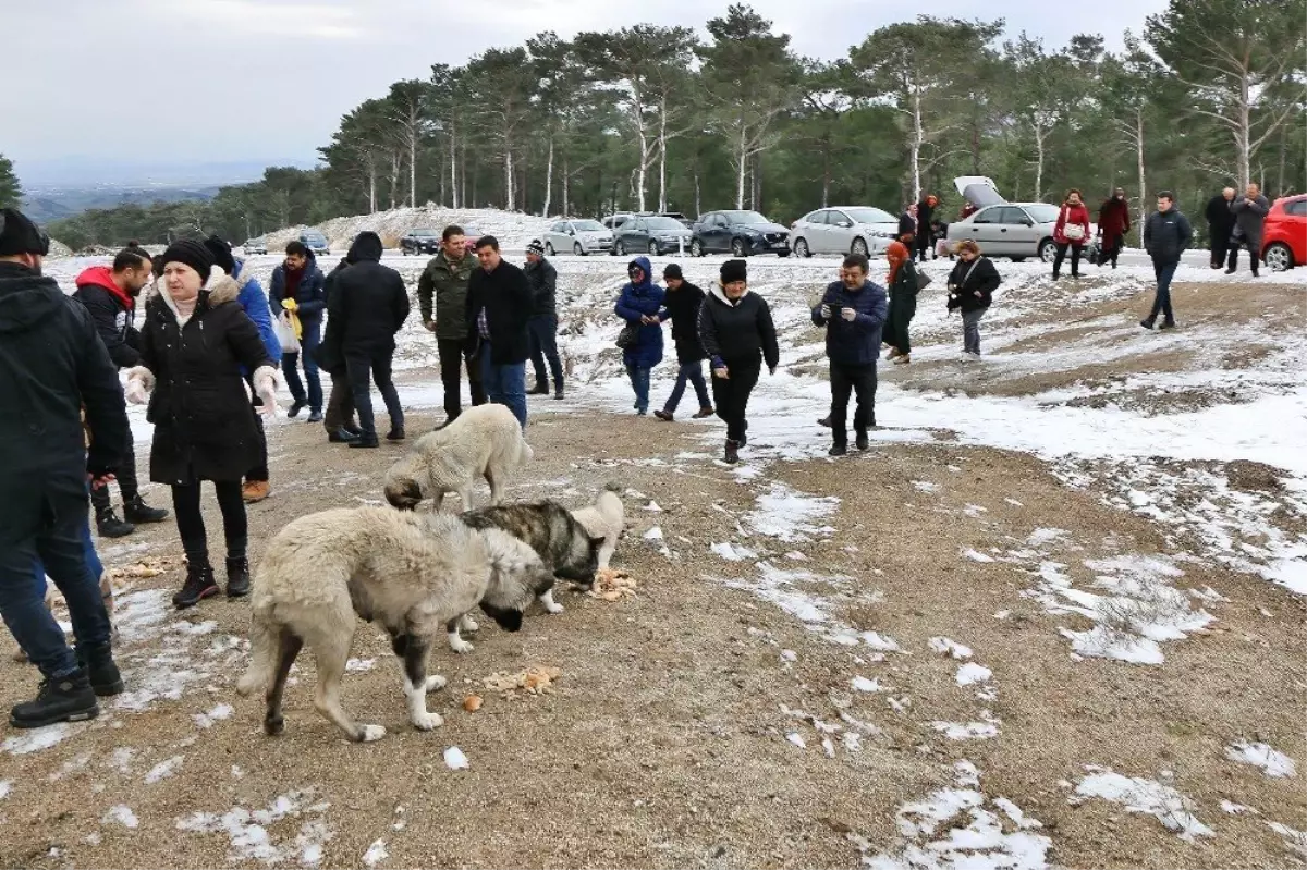 Cumhur İttifakı Adayından Örnek Davranış